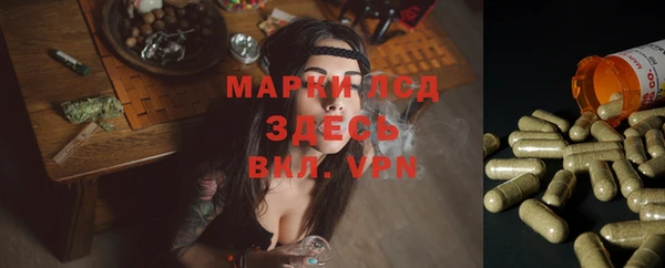 стаф Беломорск