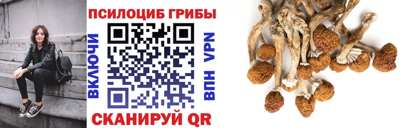 где найти наркотики Янаул Галлюциногенные грибы Psilocybine cubensis